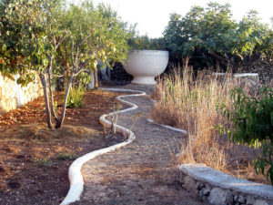 Vinya de Pere Massanet