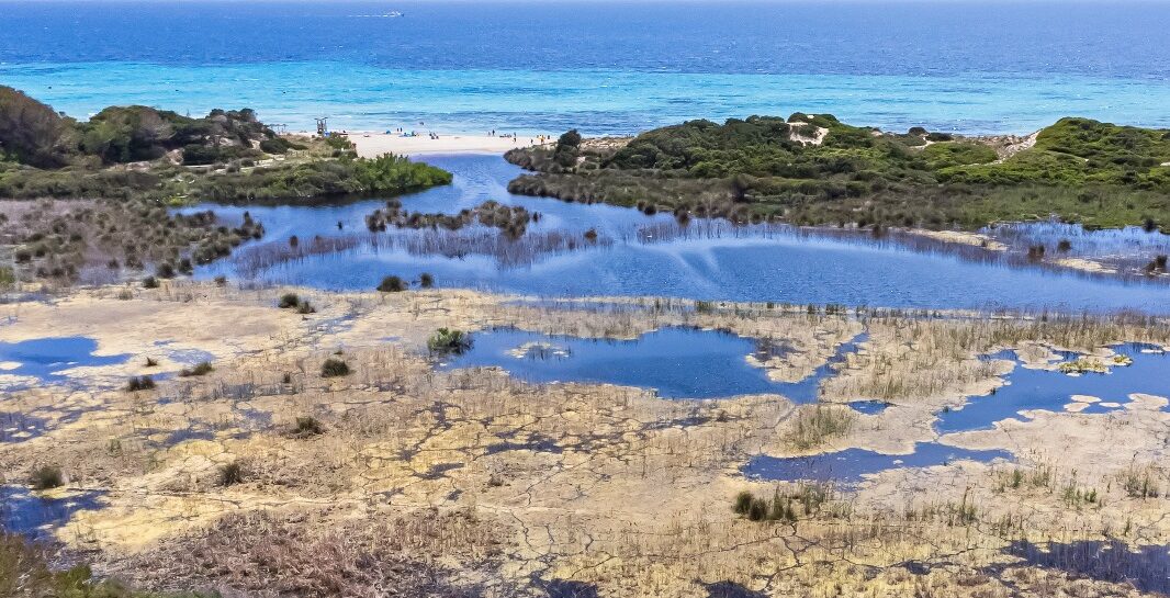 ANÀLISI DE LA SITUACIÓ DEL PRAT DE SON BOU, JUNY-JULIOL’24.